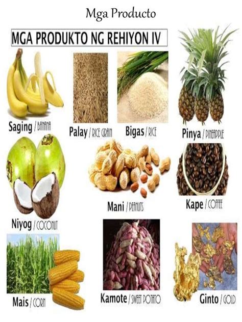 pangunahing produkto ng cebu|Cebu .